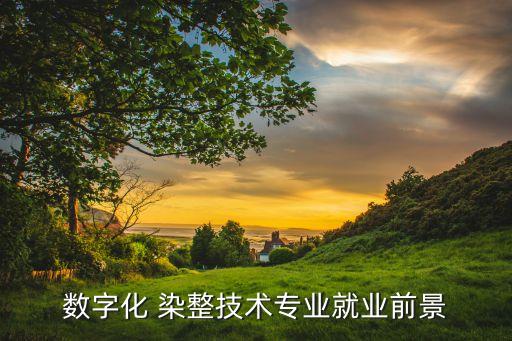 數(shù)字化 染整技術(shù)專業(yè)就業(yè)前景