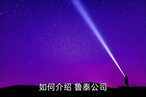 如何介紹 魯泰公司