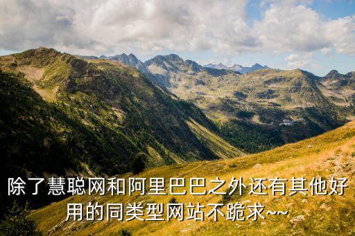 除了慧聰網和阿里巴巴之外還有其他好用的同類型網站不跪求~~