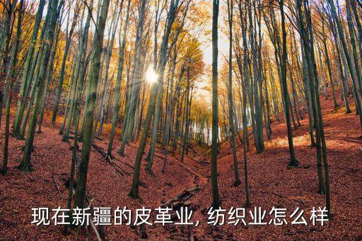 紡織企業(yè)自身特點,紡織工業(yè)自身的特點