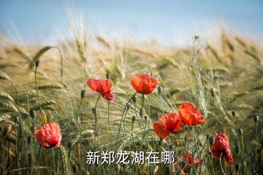 新鄭龍湖在哪