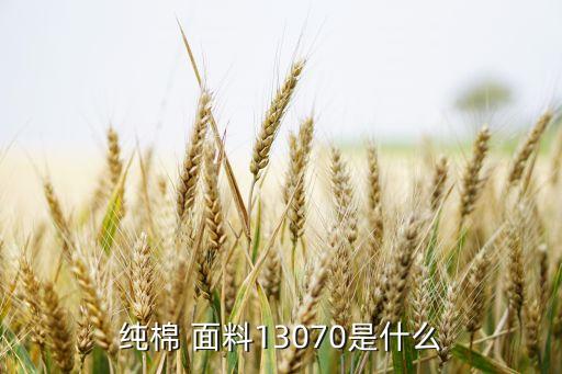 雪紡面料工廠,緞面雪紡是什么面料