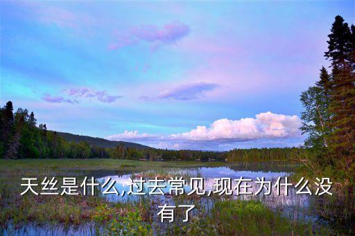 化纖面料 天絲棉,化纖粘膠纖維是什么面料