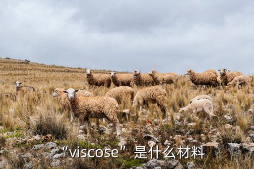 紡織品材質(zhì) 英文品名