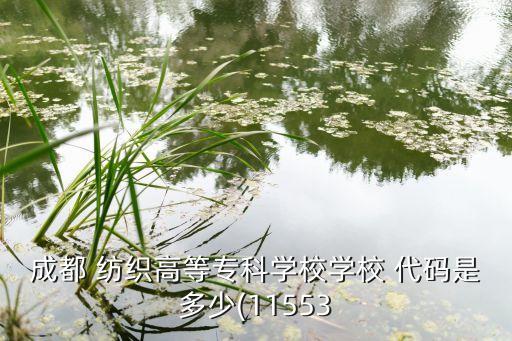 成都 紡織高等?？茖W(xué)校學(xué)校 代碼是多少(11553