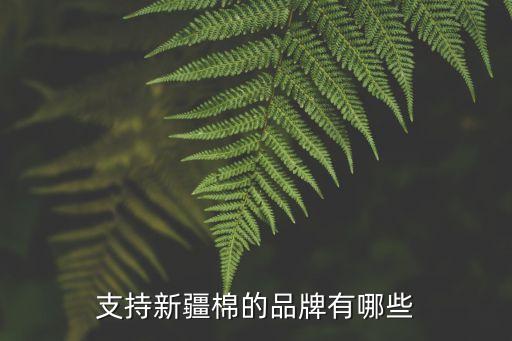 支持新疆棉的品牌有哪些