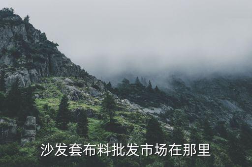 沙發(fā)套布料批發(fā)市場在那里