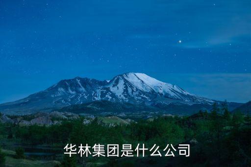  華林集團是什么公司