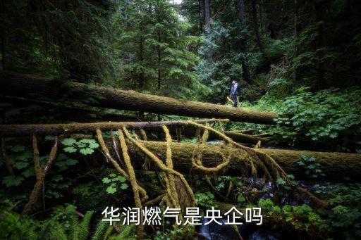  華潤燃氣是央企嗎