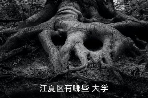 江夏區(qū)有哪些 大學(xué)