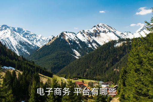 電子商務(wù) 平臺(tái)有哪些
