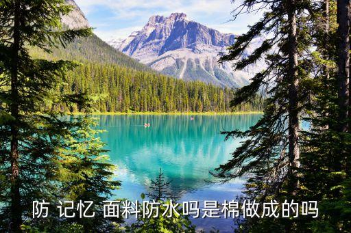 仿記憶面料褪色嗎,棉感仿記憶面料是什么