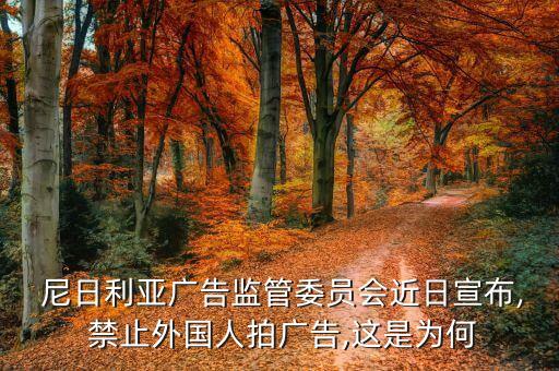 尼日利亞禁止紡織