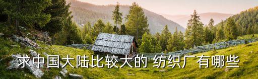 求中國大陸比較大的 紡織廠有哪些