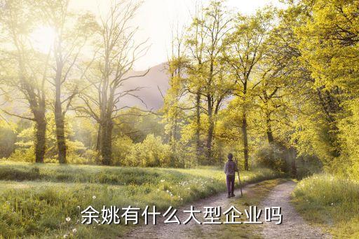  余姚有什么大型企業(yè)嗎