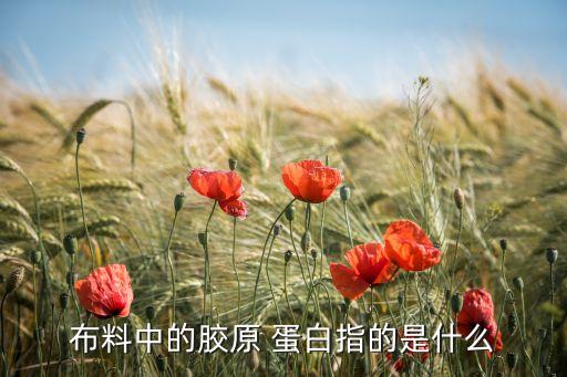 布料中的膠原 蛋白指的是什么
