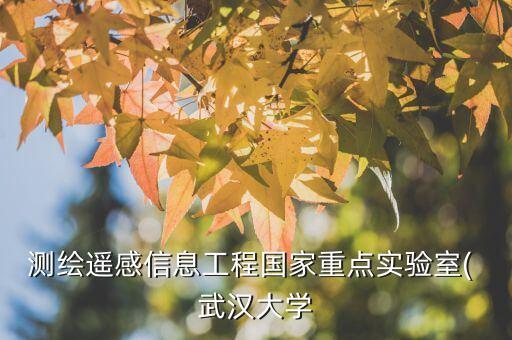 測繪遙感信息工程國家重點實驗室( 武漢大學(xué)