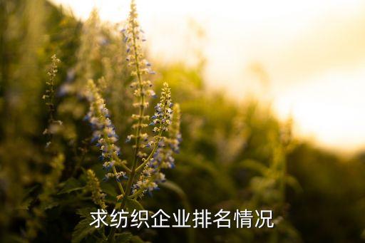 求紡織企業(yè)排名情況