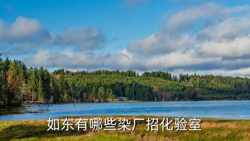 如東有哪些染廠招化驗(yàn)室