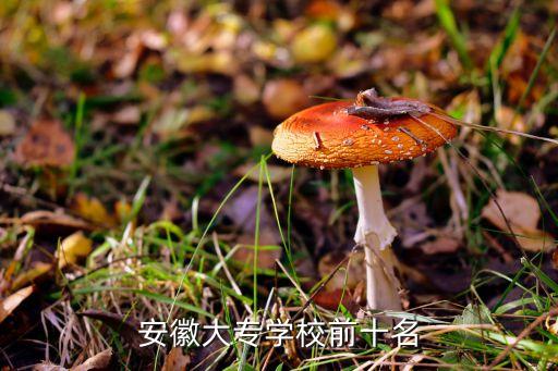 安徽省紡織服裝研究所,廣西紡織服裝研究所有限公司