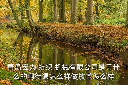 青島宏大 紡織 機械有限公司是干什么的啊待遇怎么樣做技術(shù)怎么樣