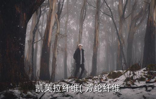 凱芙拉纖維( 芳綸纖維