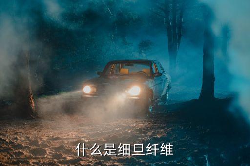 什么是細旦纖維