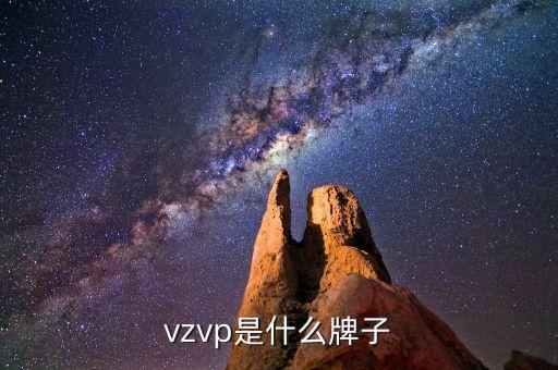 vzvp是什么牌子