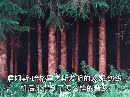 詹姆斯·哈格里夫斯發(fā)明的珍妮 紡織機(jī)后來得到了怎么樣的普及