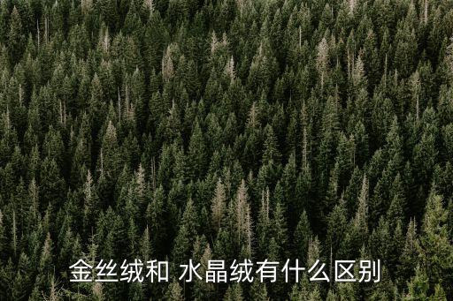 水晶絨面料的優(yōu)缺點(diǎn),水晶紗毛衣面料的優(yōu)缺點(diǎn)