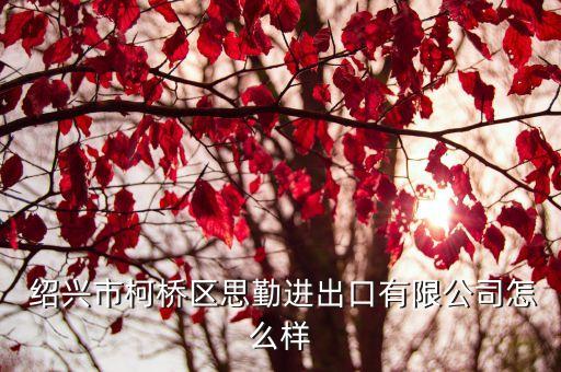 紹興市邁步紡織品