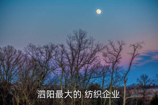 泗陽最大的 紡織企業(yè)