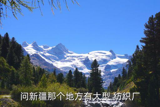 問新疆那個地方有大型 紡織廠