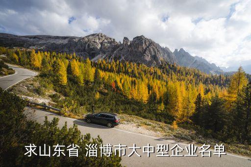 求山東省 淄博市大中型企業(yè)名單