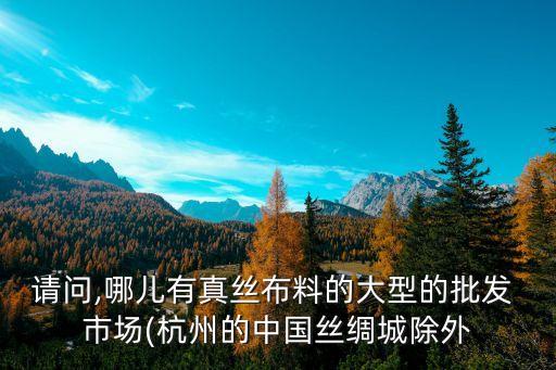 劍桿紡織配件市場哪有