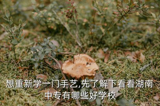 想重新學一門手藝,先了解下看看湖南中專有哪些好學校