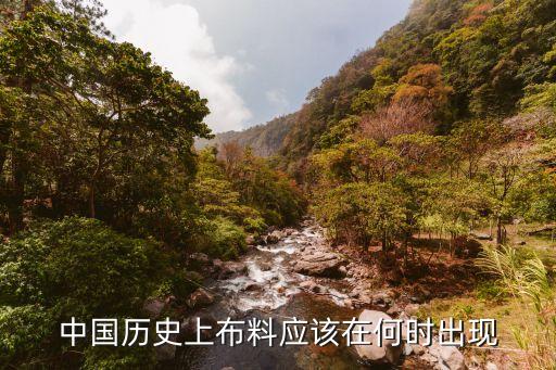 中國歷史上布料應(yīng)該在何時出現(xiàn)