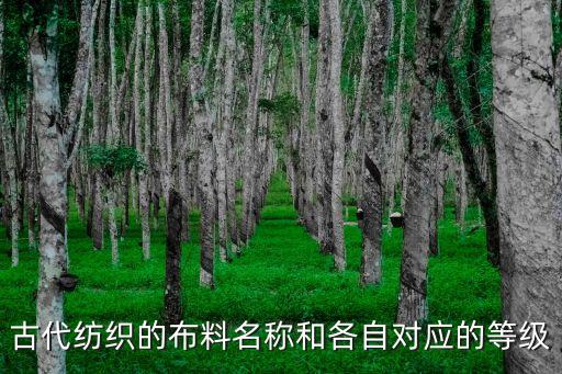 紡織品介紹