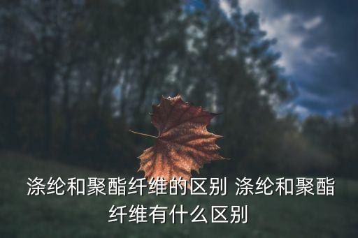  滌綸和聚酯纖維的區(qū)別 滌綸和聚酯纖維有什么區(qū)別