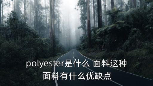 polyester是什么 面料這種 面料有什么優(yōu)缺點