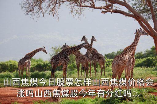 汕頭市恒捷實(shí)業(yè)有限公司,福建恒捷實(shí)業(yè)有限公司董事長