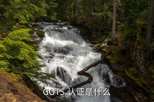 GOTS 認(rèn)證是什么