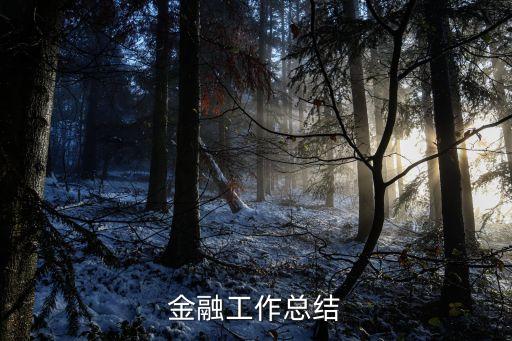 金融工作總結(jié)