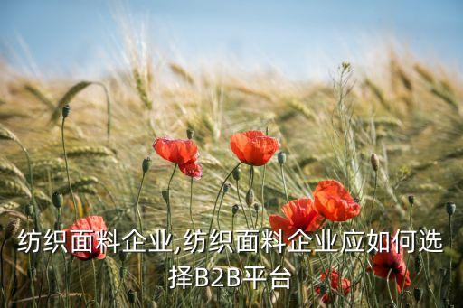 中國(guó)紡織面料企業(yè),紡織面料企業(yè)應(yīng)如何選擇B2B平臺(tái)