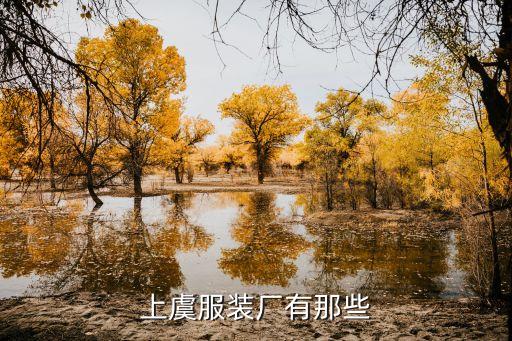 上虞服裝廠有那些