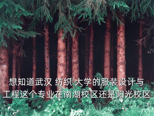 想知道武漢 紡織 大學(xué)的服裝設(shè)計(jì)與工程這個專業(yè)在南湖校區(qū)還是陽光校區(qū)...