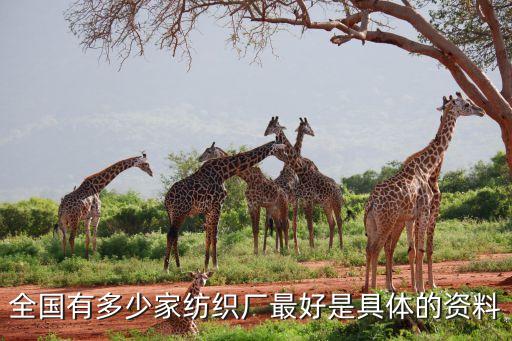 全國(guó)有多少家紡織廠最好是具體的資料