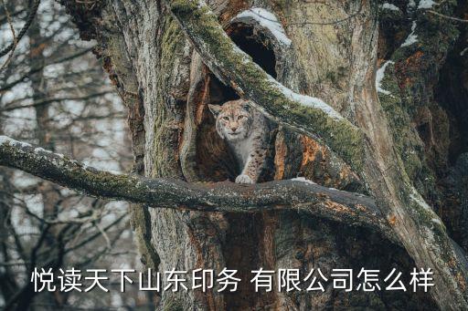 悅讀天下山東印務(wù) 有限公司怎么樣