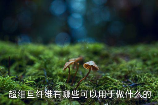  超細(xì)旦纖維有哪些可以用于做什么的