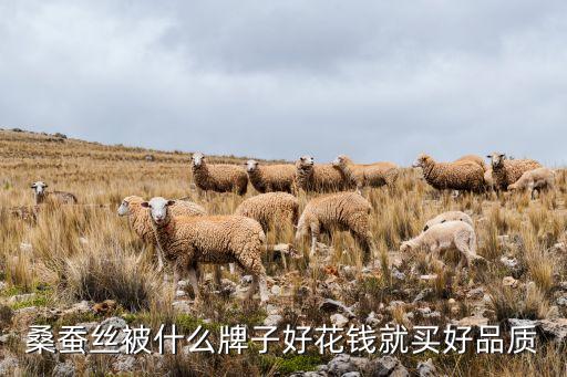 南通潤(rùn)澤紡織品有限公司
